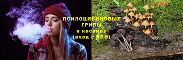 таблы Богданович