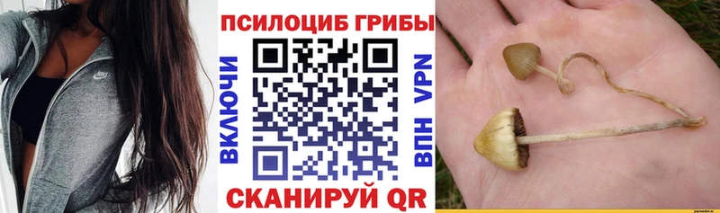 как найти закладки Шебекино Псилоцибиновые грибы ЛСД