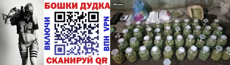 где можно купить   Шебекино  Бошки марихуана VHQ 